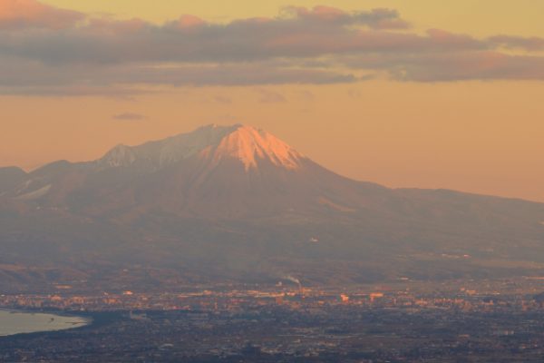 命のせんたく