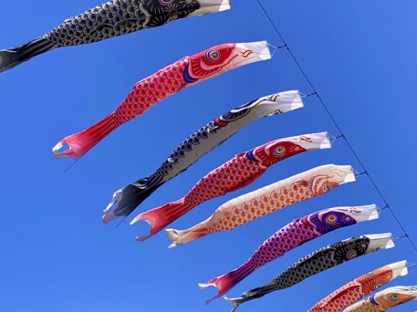 ５月、天気と気温とネコと気分